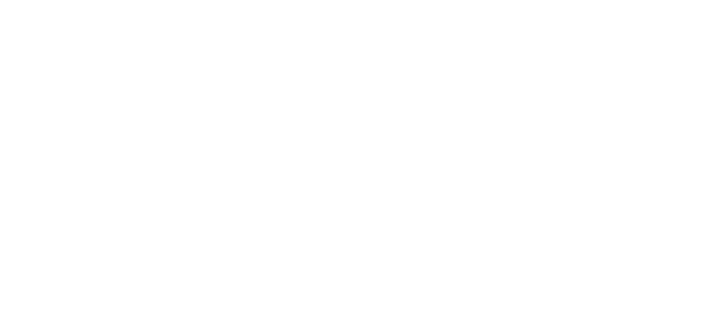 American Financial Network logo